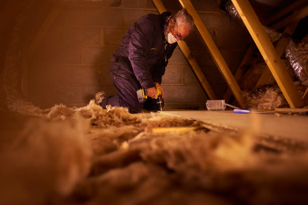Best Insulation Contractors for Homes  in Stiles, PA